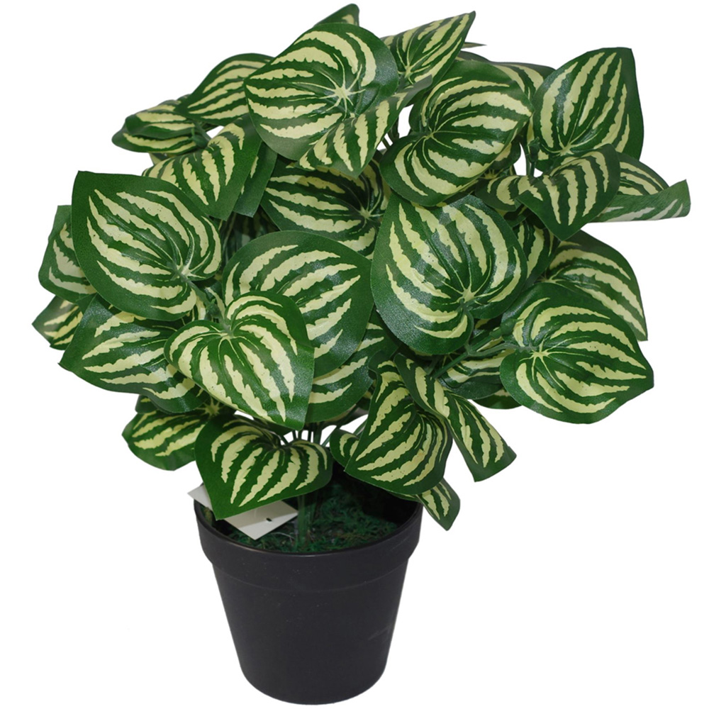 Leaf Watermelon Style Leaves Artificial Plant Pot 40cm Image 1