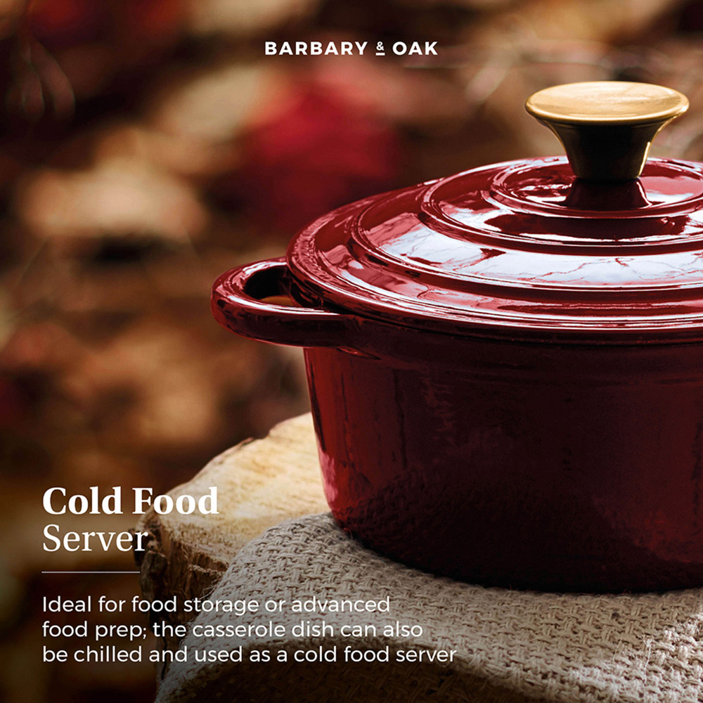 Barbary and Oak 24cm Red Cast Iron Round Casserole Image 6