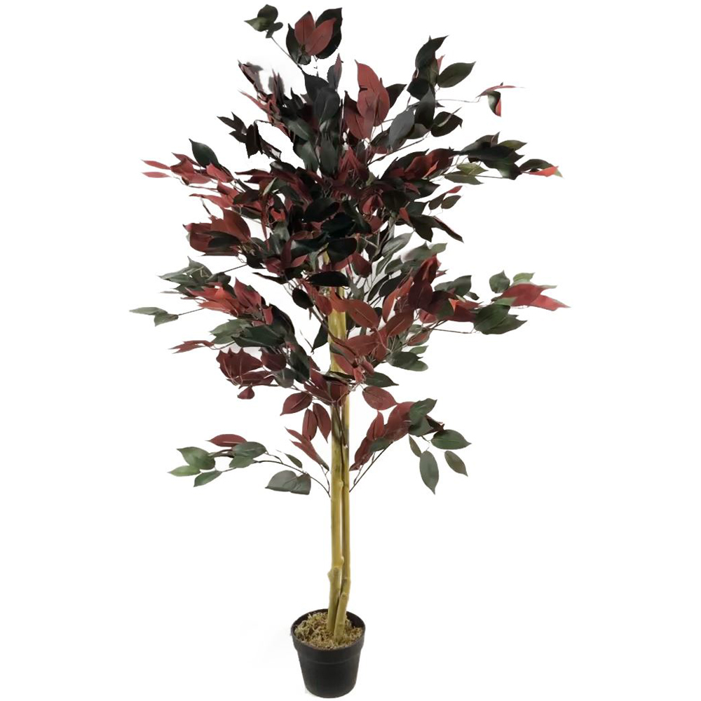 Botanik Capensia Ficus Artificial Tree in Pot 4ft Image 4
