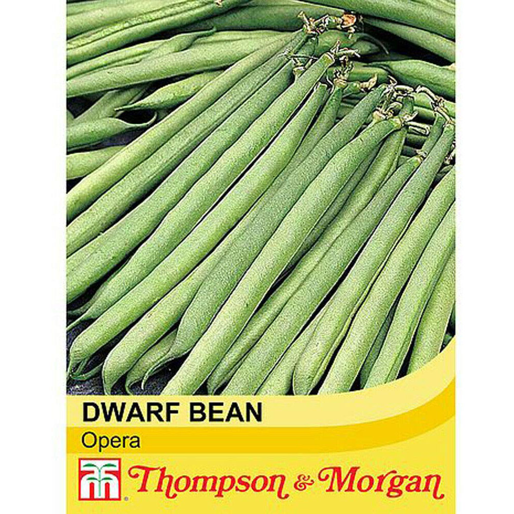 Thompson & Morgan Dwarf Bush Bean Opera Seed Packet Image 2