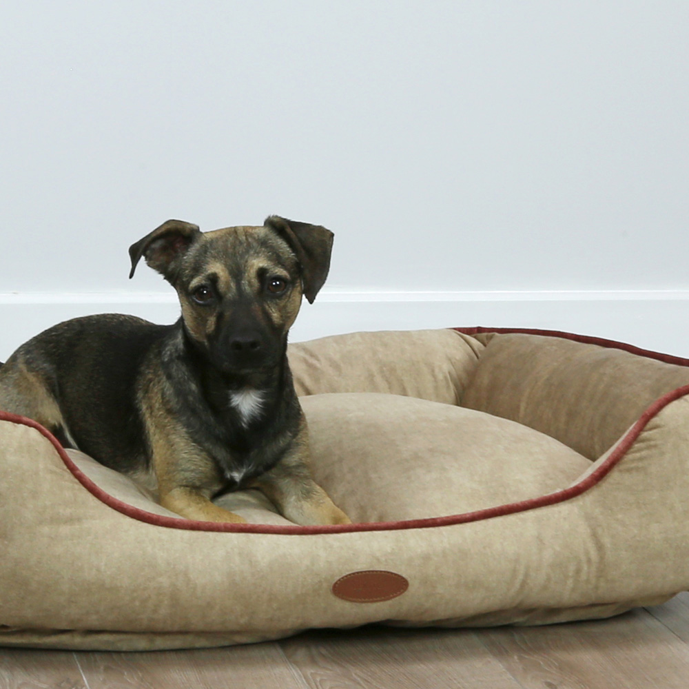 Charles Bentley Small Taupe Pet Bed with Pink Trim Image 5