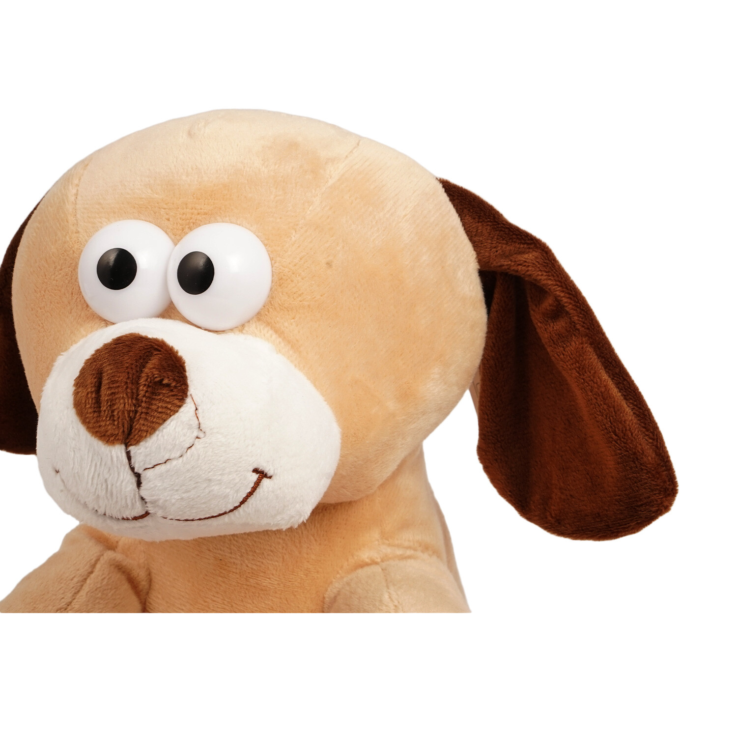 Fartypants Dog with Sound Image 2