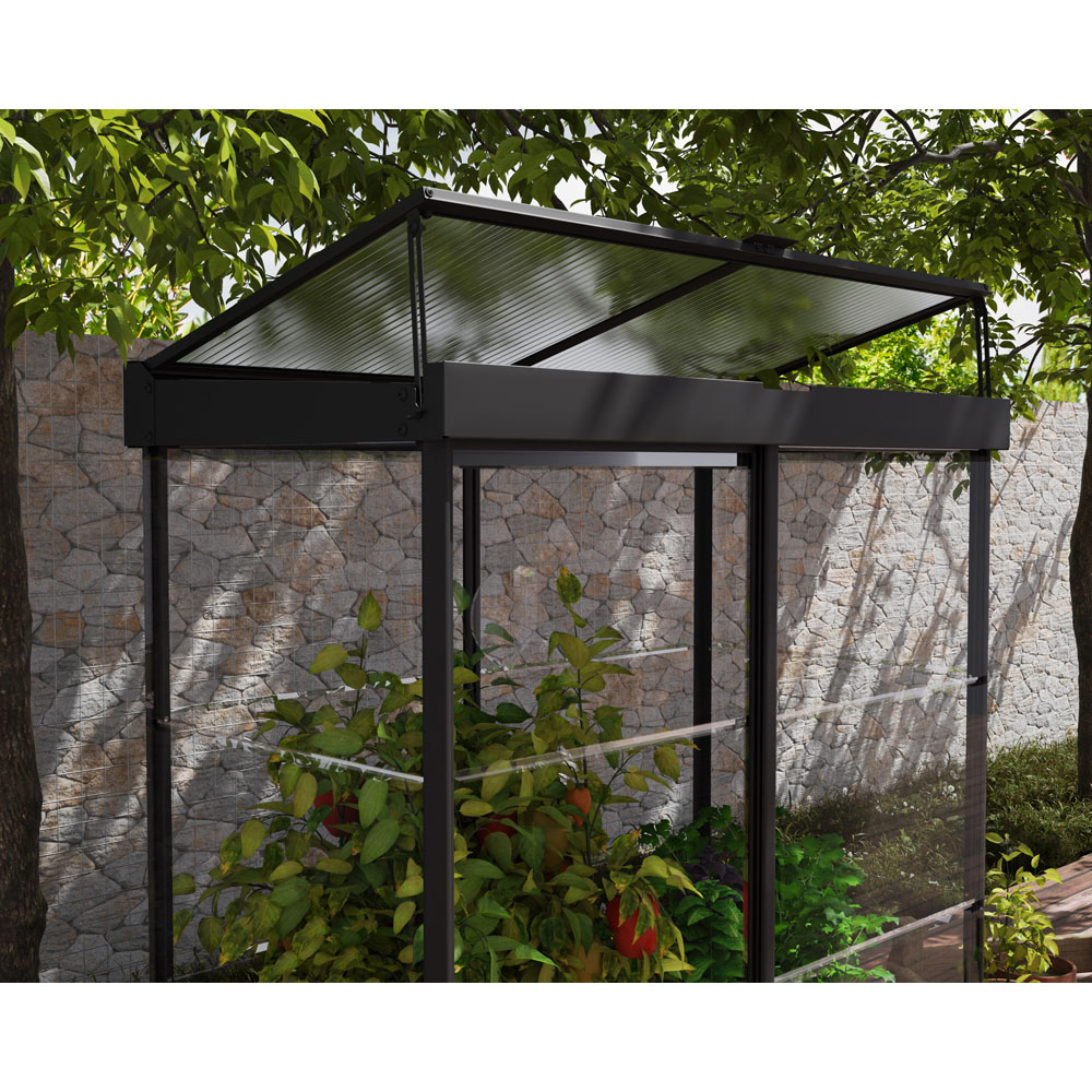Palram Canopia Ivy Black 4 x 2ft Greenhouse Image 3