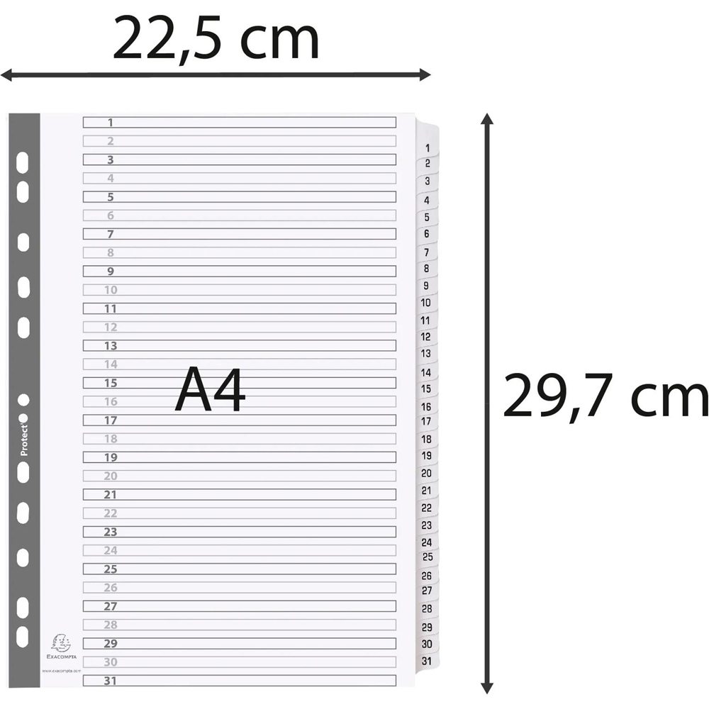 Exacompta A4 White Mylar 1-31 Divider 10 Pack Image 3