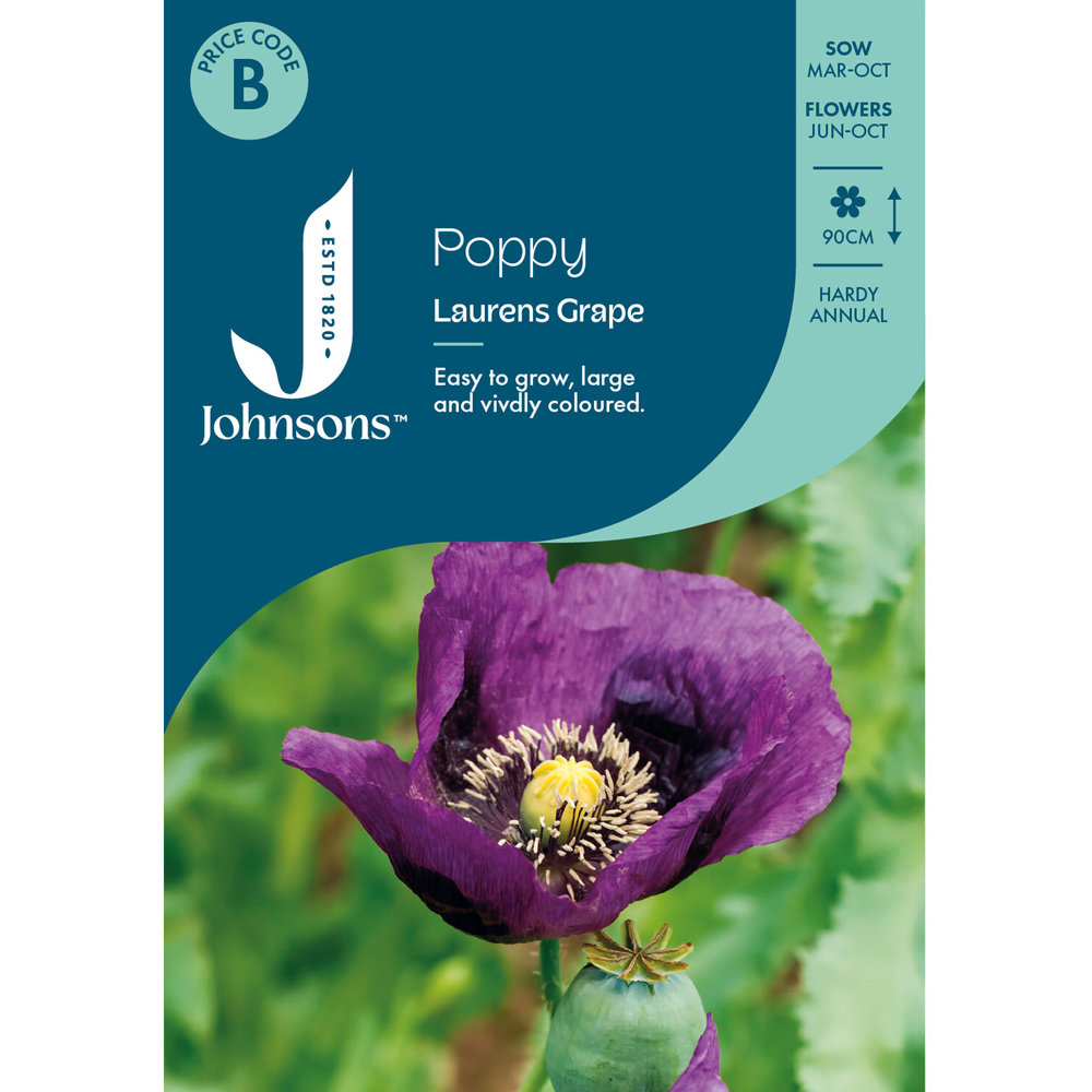 Pack of Poppy Laurens Grape Flower Seeds Image 1