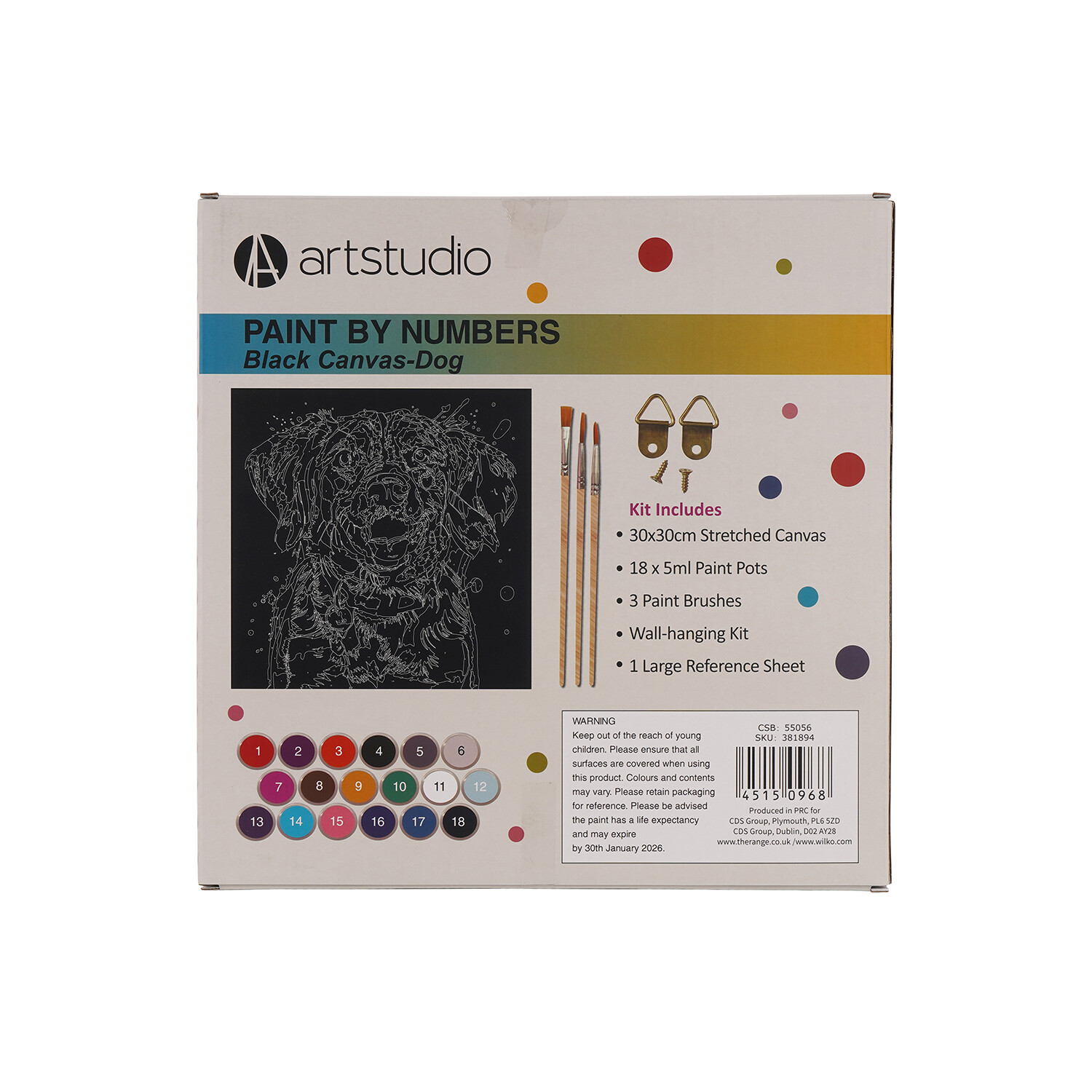 Paint By Numbers Dog or Cat Canvas - Multicolour Image 5