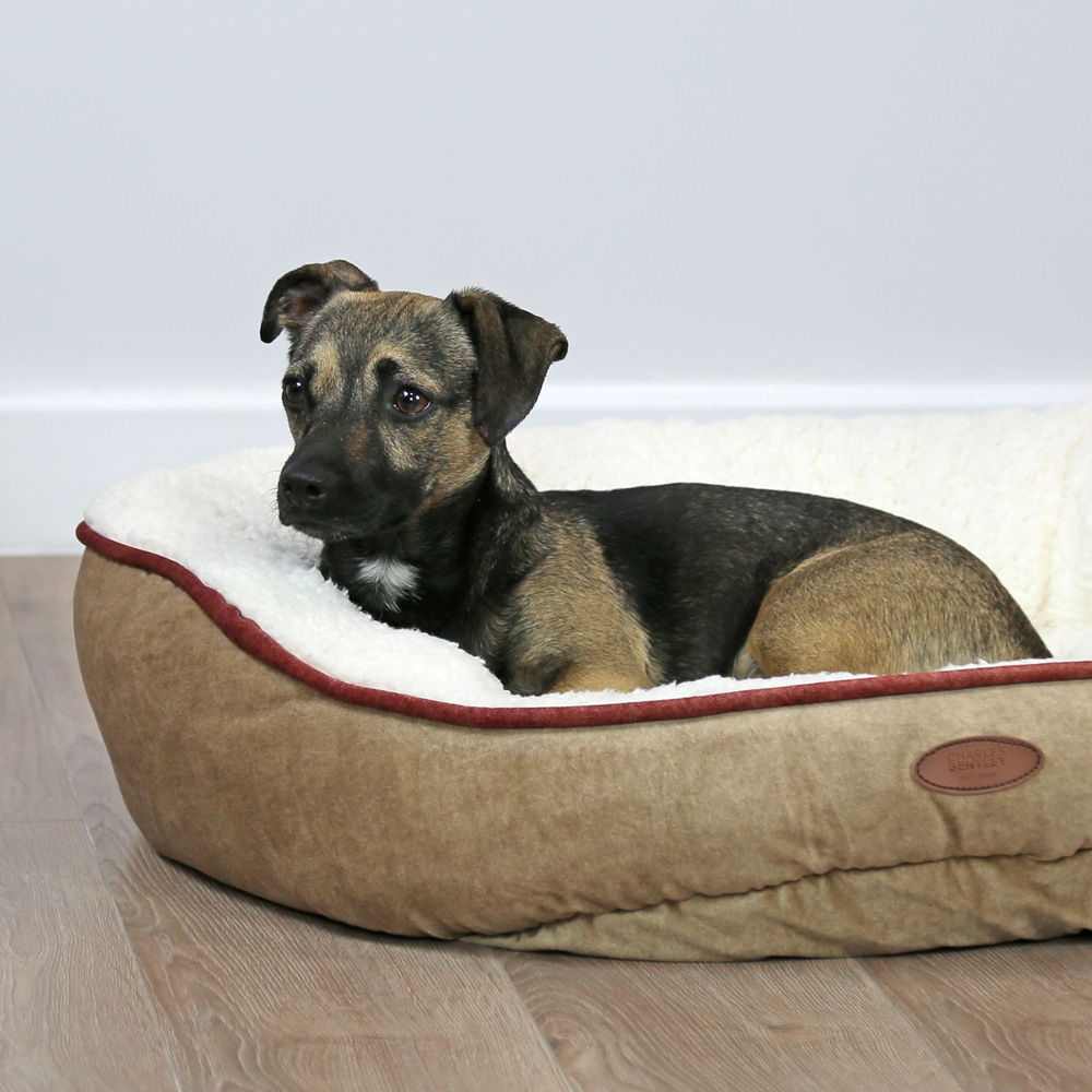 Charles Bentley Small Taupe Memory Foam Pet Bed Image 5