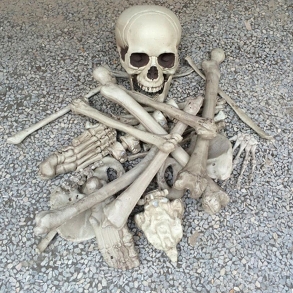 Living and Home Halloween 28 Piece Realistic Skull and Bone Skeleton Image 8