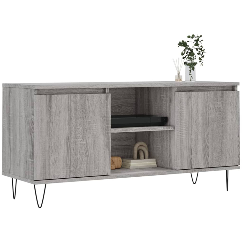 vidaXL 2 Door 2 Shelf Concrete Grey TV Cabinet Image 3