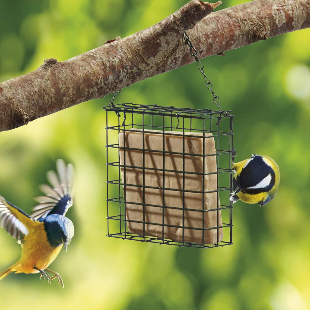 Happy Beaks Green Plastic Hanging Suet Cake Feeder Image 2