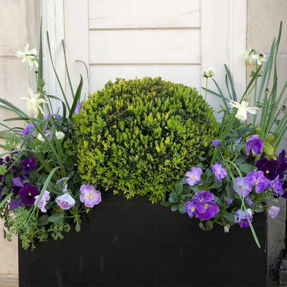 wilko Black Concrete Fibrestone Trough Outdoor Plant Pot 30cm Image 4