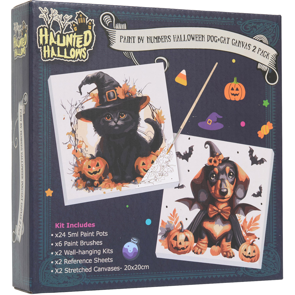 Pack of 2 Paint By Numbers Halloween Dog and Cat Canvases Image 5