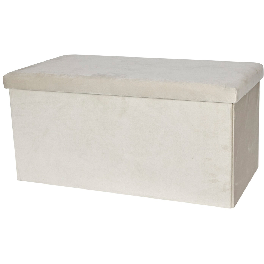 Brushed Velvet Storage Trunk Cream Image 2
