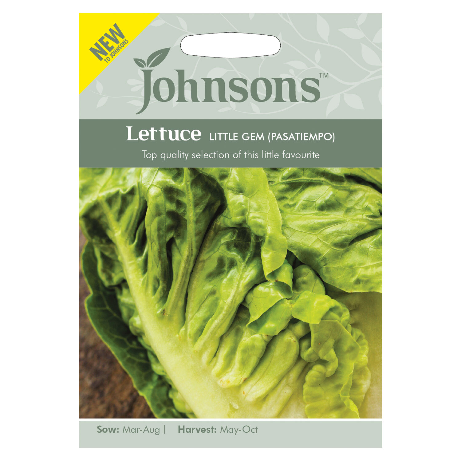 Johnsons Lettuce Little Gem Pasatiempo Vegetable Seeds Image 2