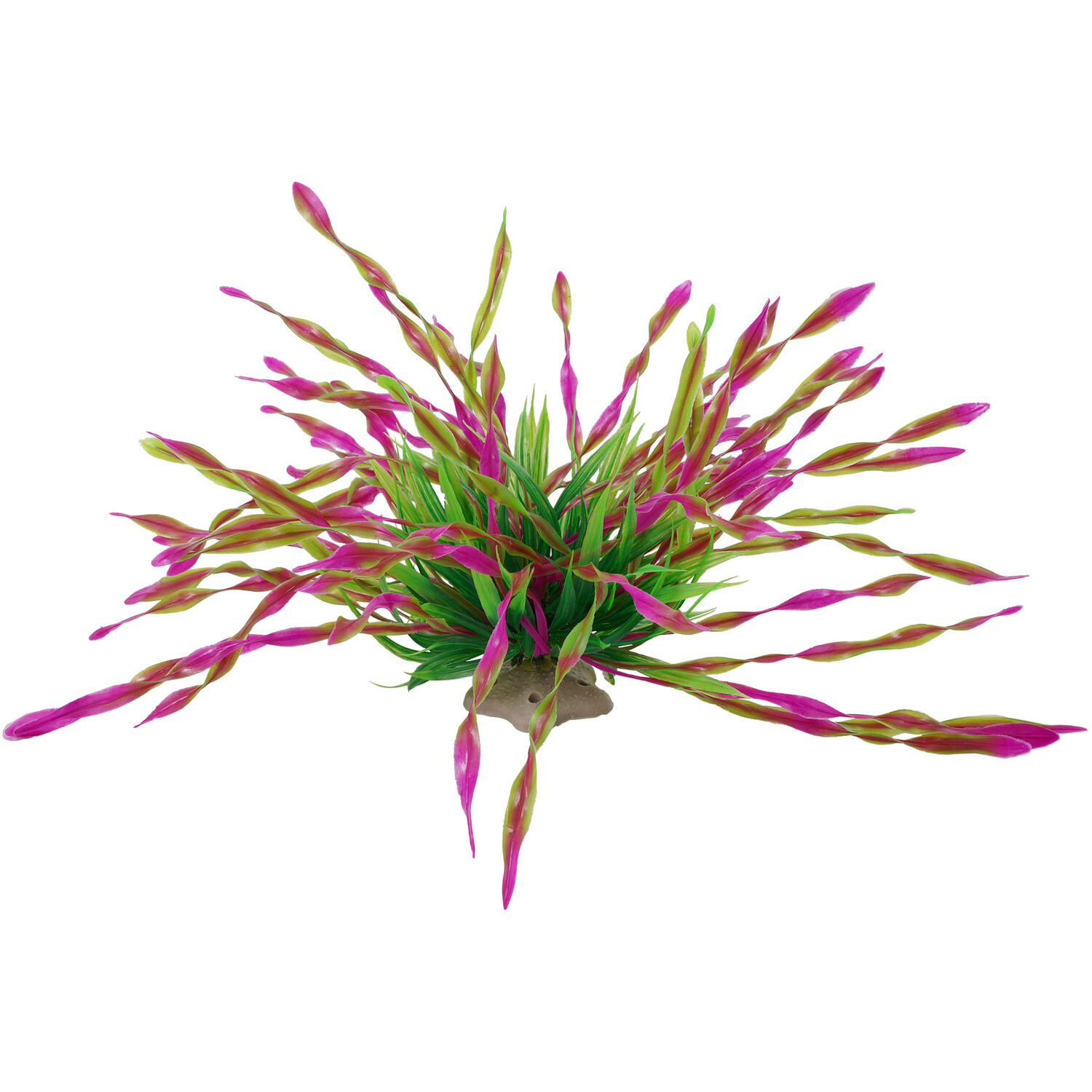 Seagrass Bush - S Image 4