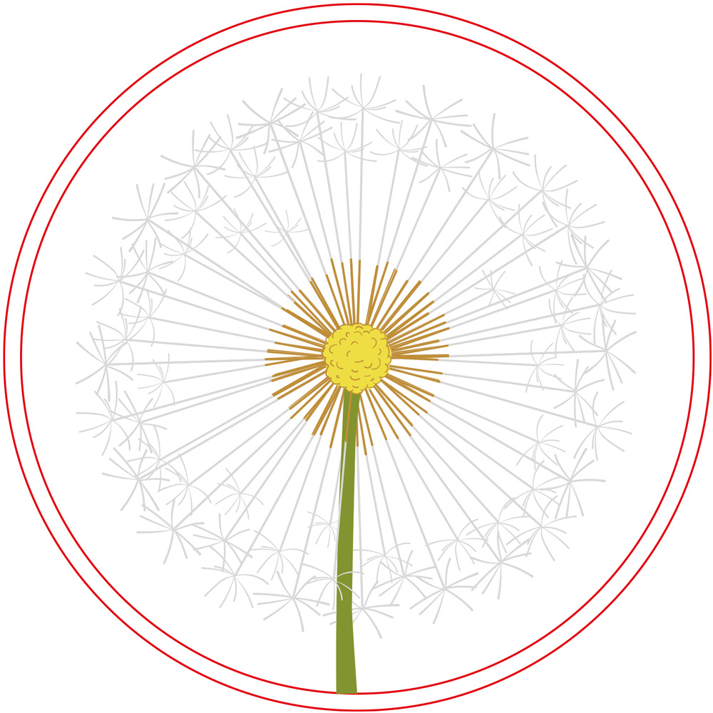 Simply Make Dandelion Embroidery Craft Kit Image 4