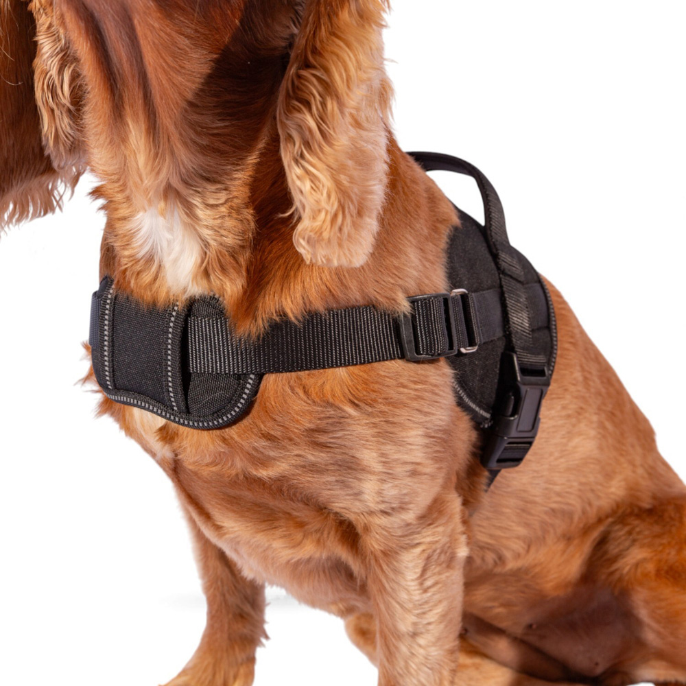 Explorer Harness Black Extra Large Image 3
