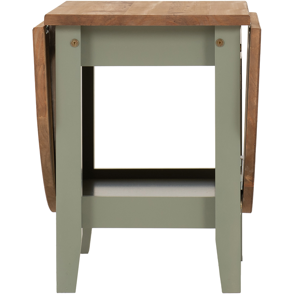 Seconique Santos Single Shelf Drop Leaf Green Distressed Waxed Pine Coffee Table Image 5