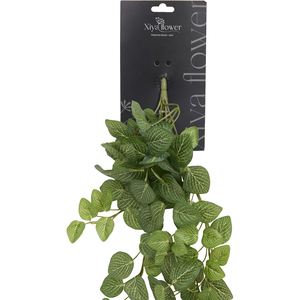 Hanging Fittona Artificial Plant Green Image 2