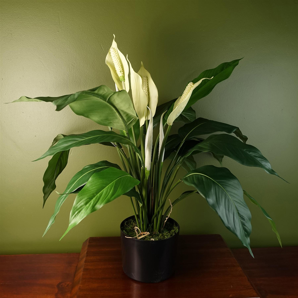 Leaf White Spathiphyllum Peace Lily Artificial Plant in Pot 2ft Image 2