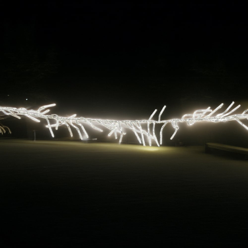 2000 Cluster LED Lights Mixed White - White Image 1