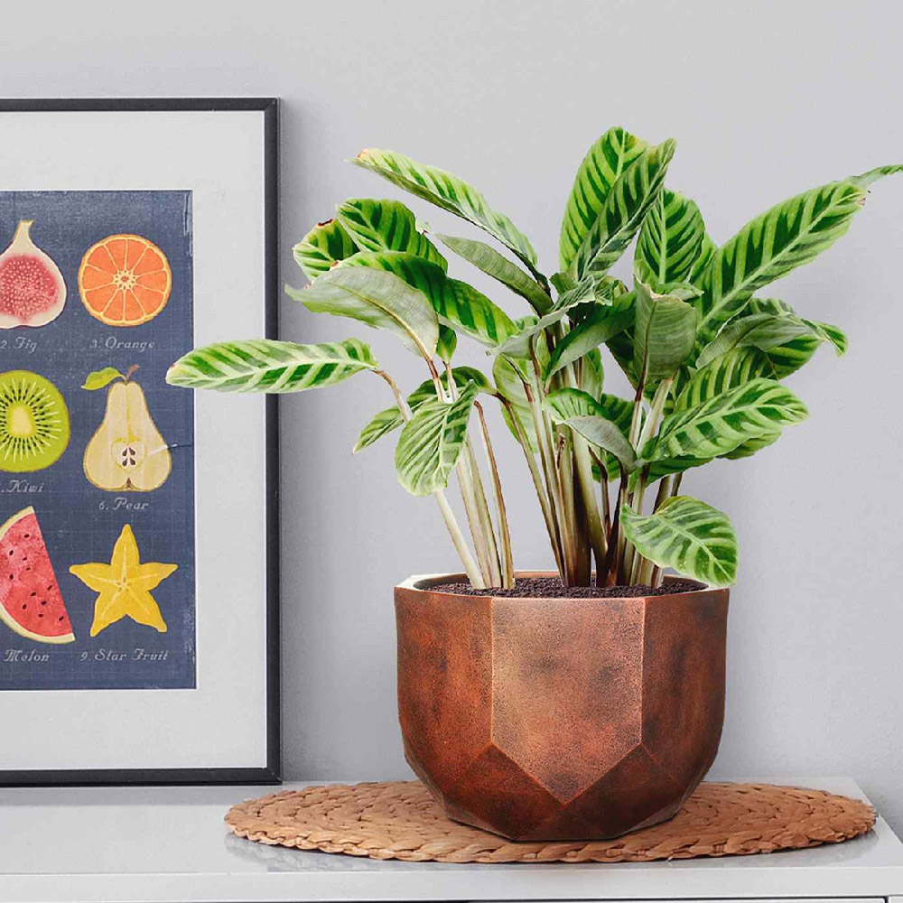 wilko Geometry Style Bronze Round Indoor Plant Pot 17cm Image 2