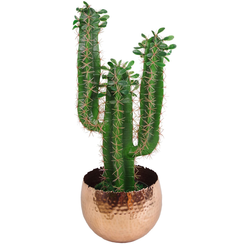 Botanik Silver Metal Curved Edge Hammered Planter 17 x 22cm Image 2