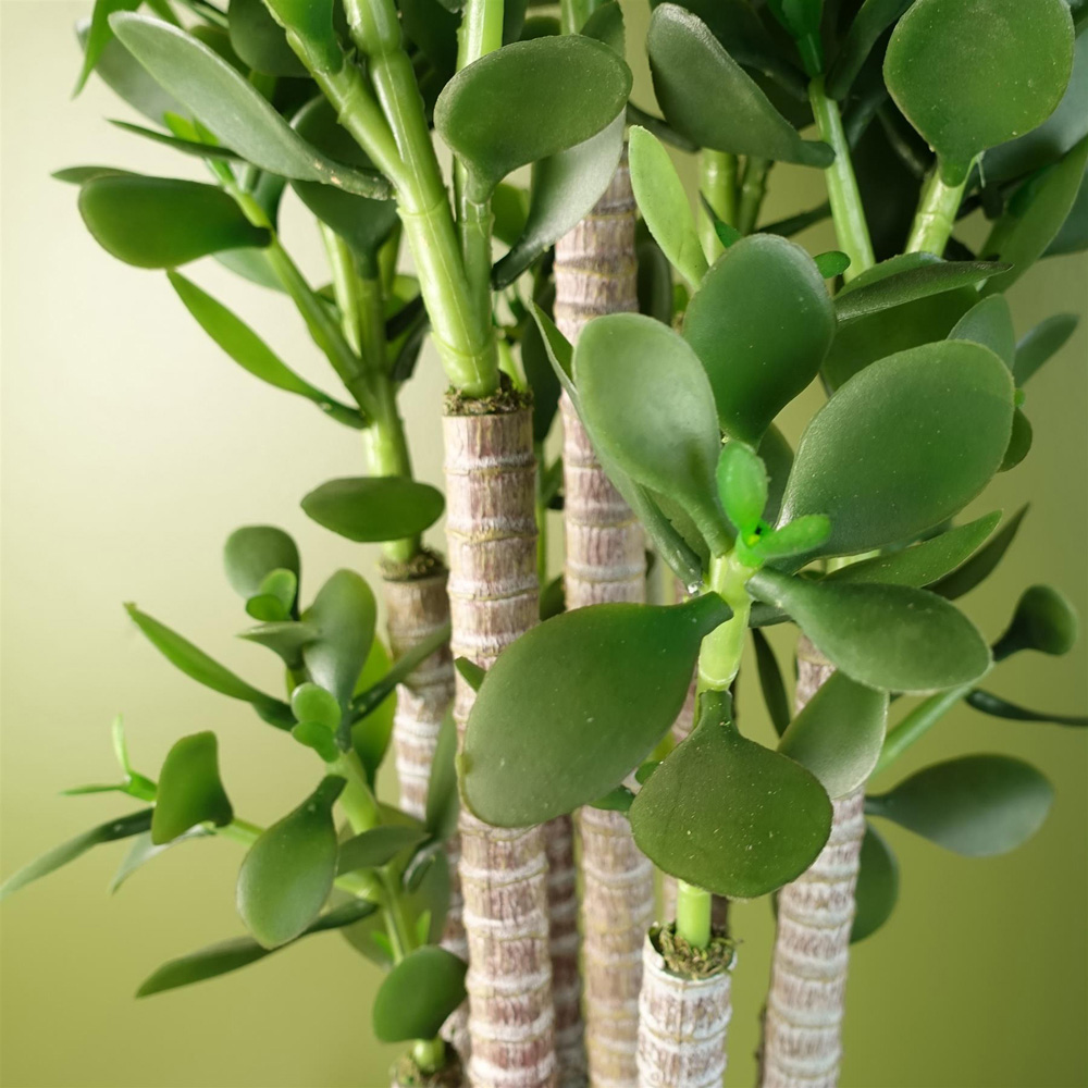Leaf Deluxe Green Jade Artificial Plant in Pot 2.5ft Image 5