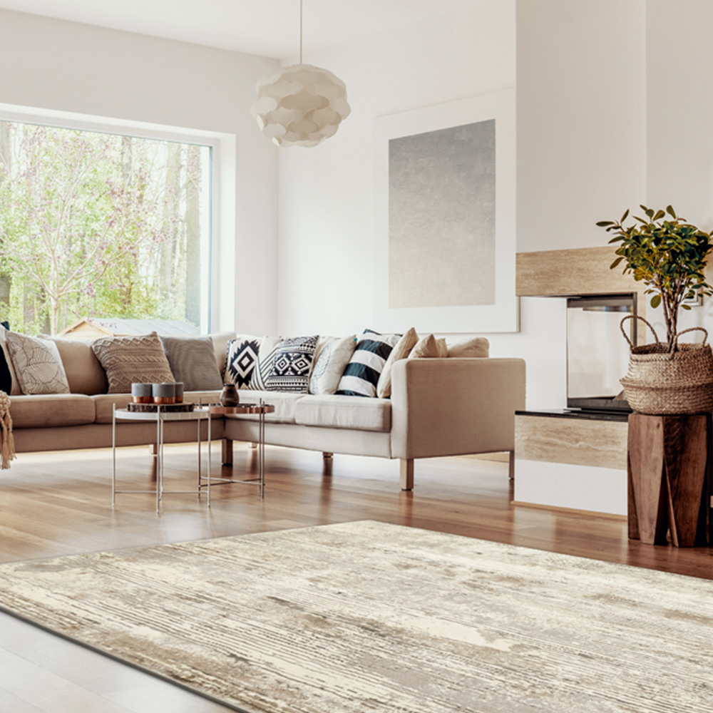 Esselle Home Solar Pluto Natural and Grey Rug 200 x 290cm Image 6