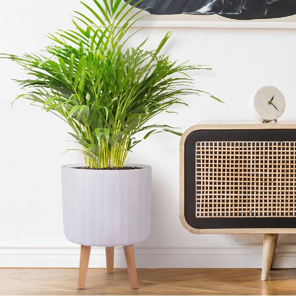 wilko Modern Ribbed White Fibrestone Indoor Cylinder Plant Pot with Legs 41cm Wilko