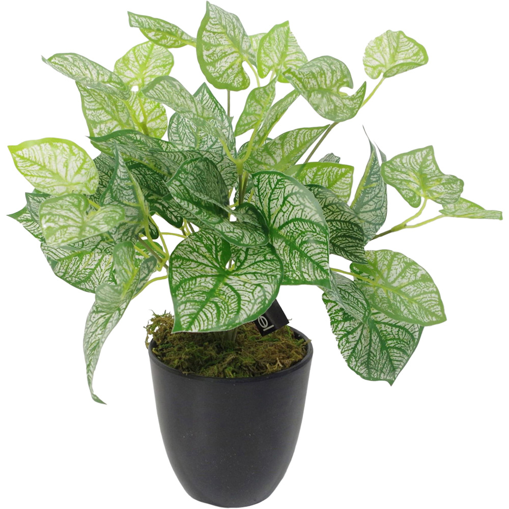 Leaf Caladium Fern Artificial Plant in Plastic Pot 1.3ft Image 1