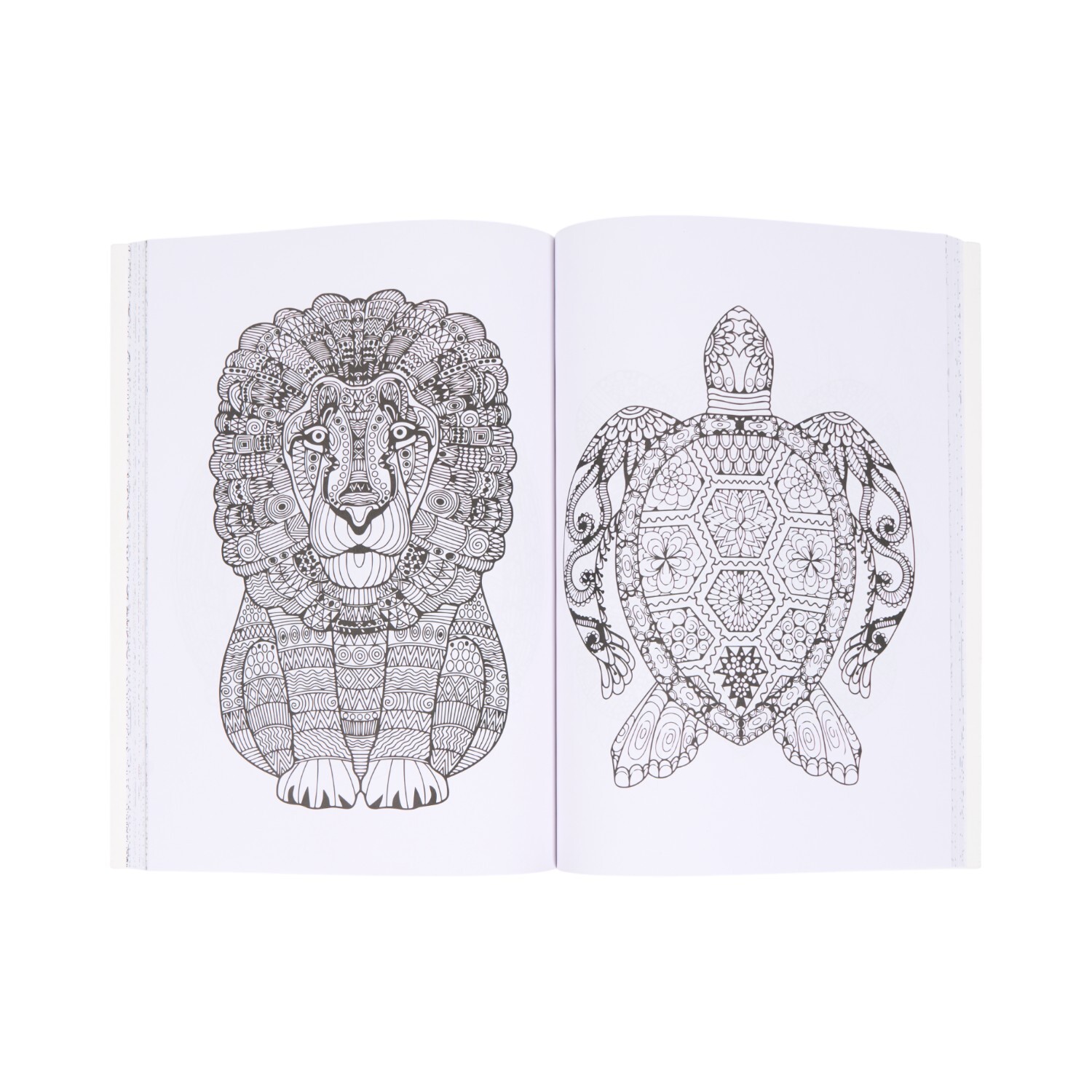 Large Colouring Book Image 2