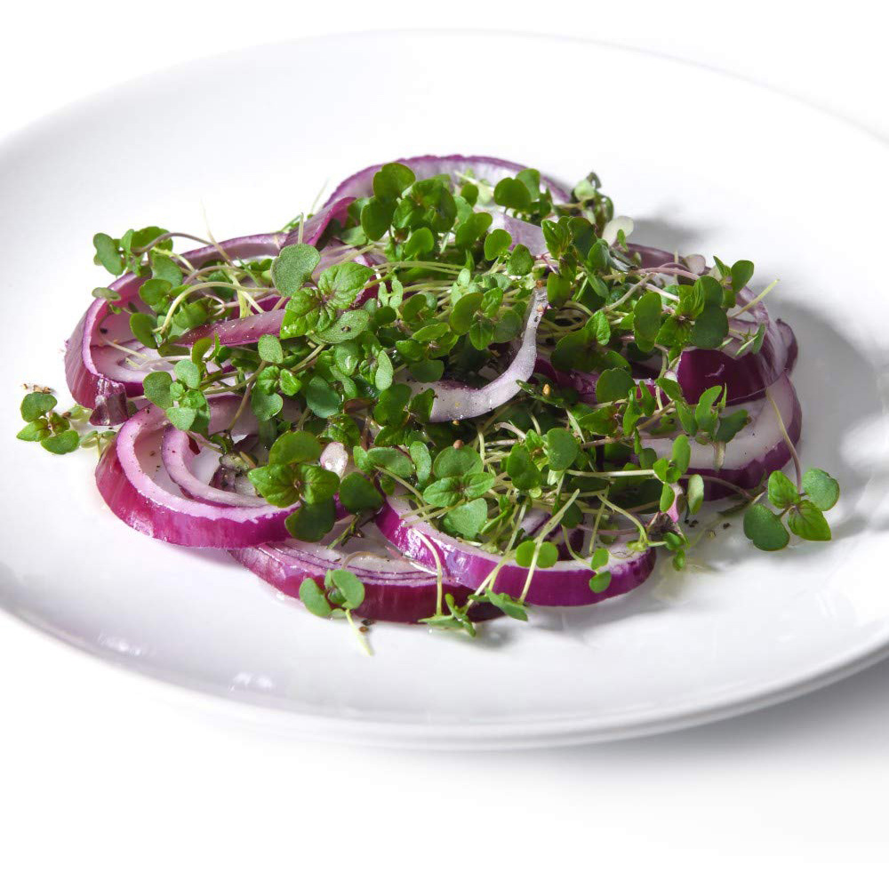 Thompson and Morgan Microgreens Perilla Shiso Red Seeds Image 2