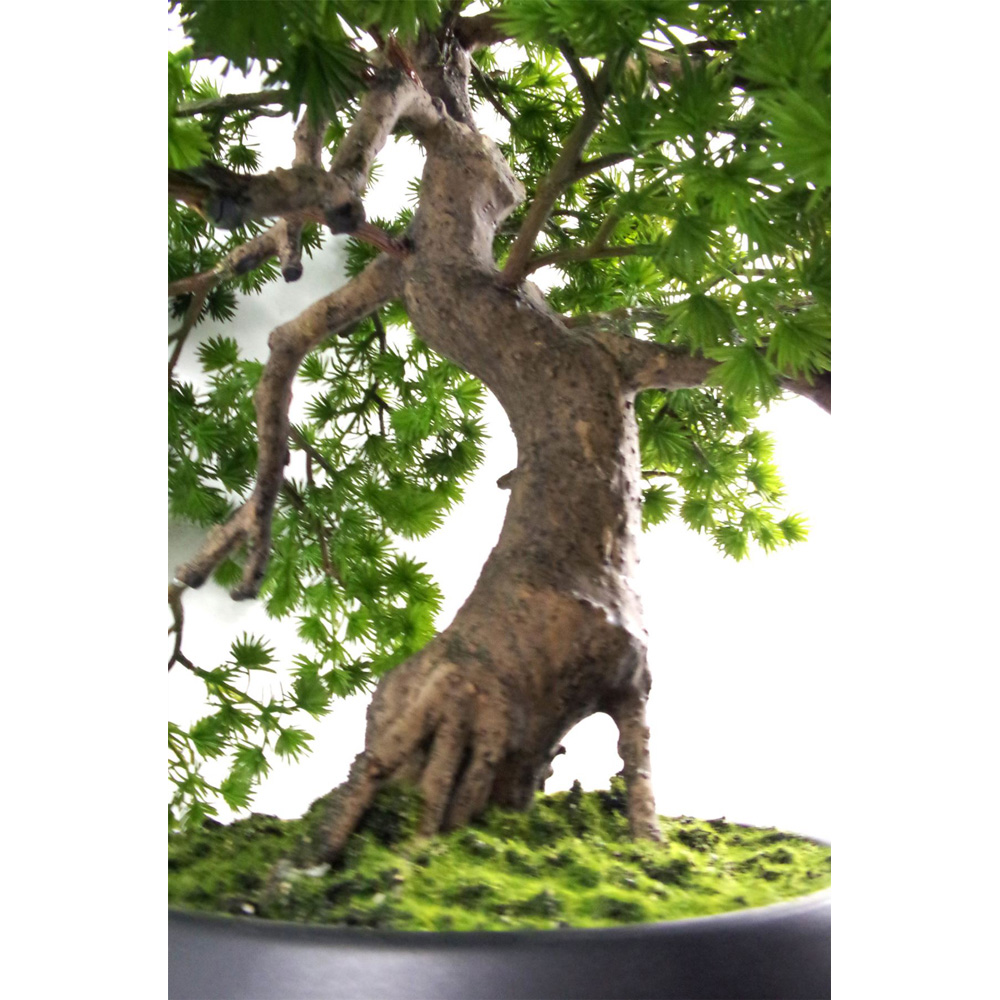 Botanik Pine Bonsai Artificial Tree 50cm Image 5