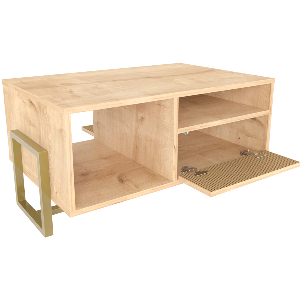 Decorotika Utopie 2 Door 2 Shelf Oak and Rattan Modern Coffee Table Image 3