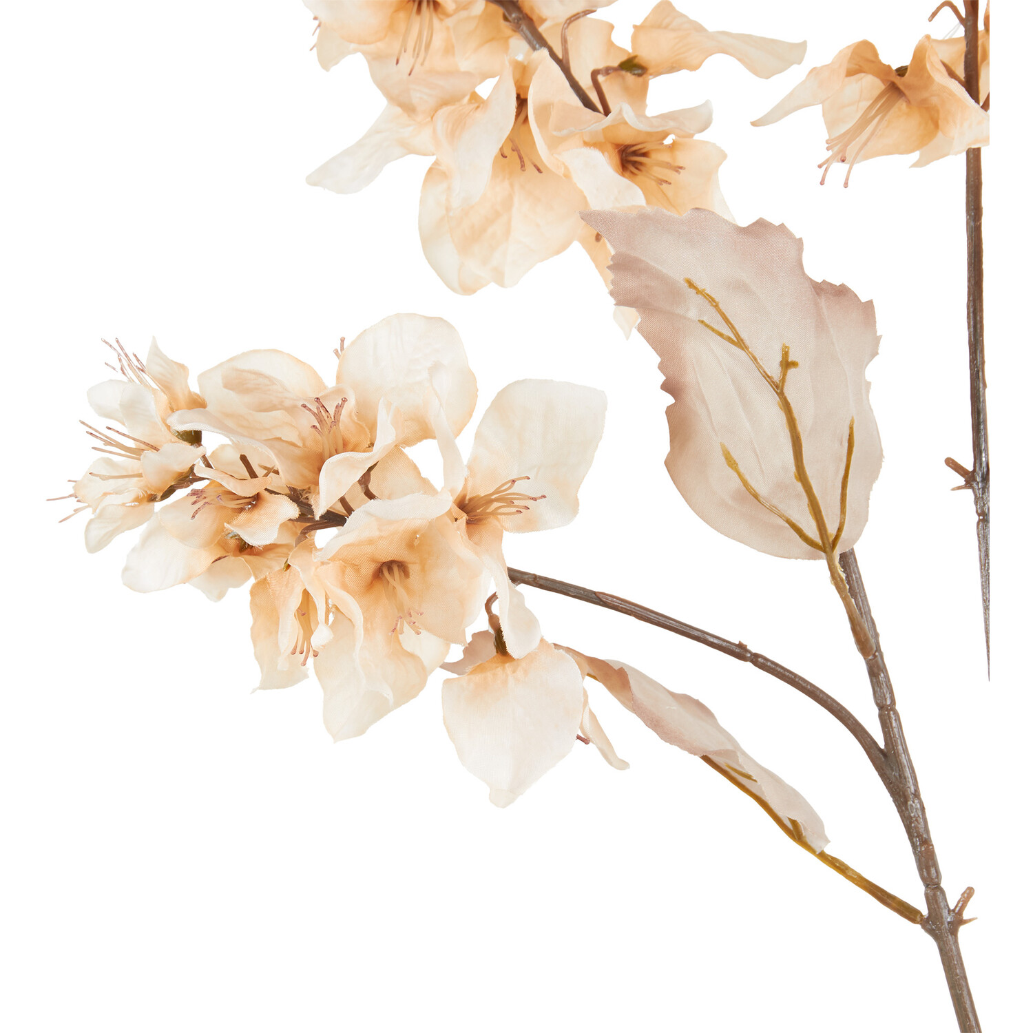 100cm Bougainvillea Stem - Cream Image 3