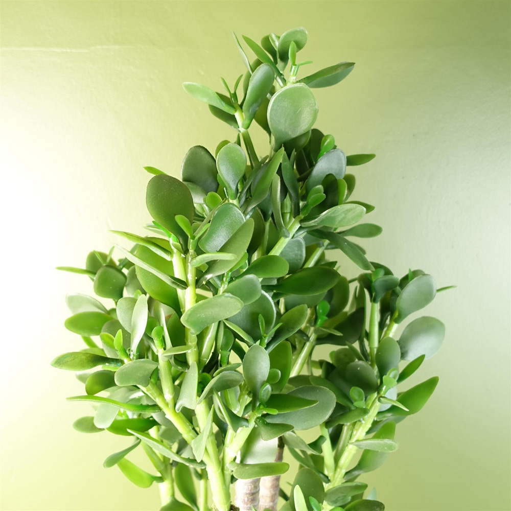 Leaf Deluxe Green Jade Artificial Plant in Pot 2.5ft Image 3