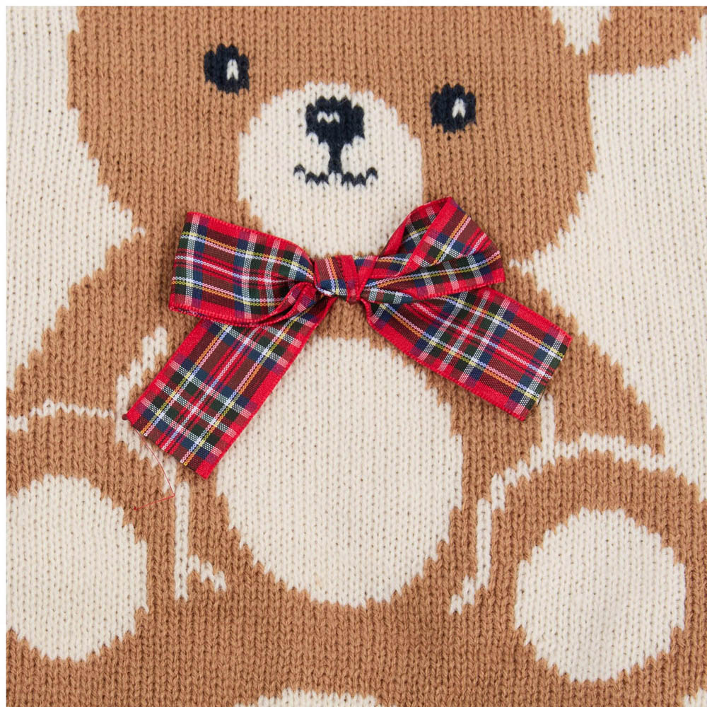 Teddy Pet Jumper M Image 6