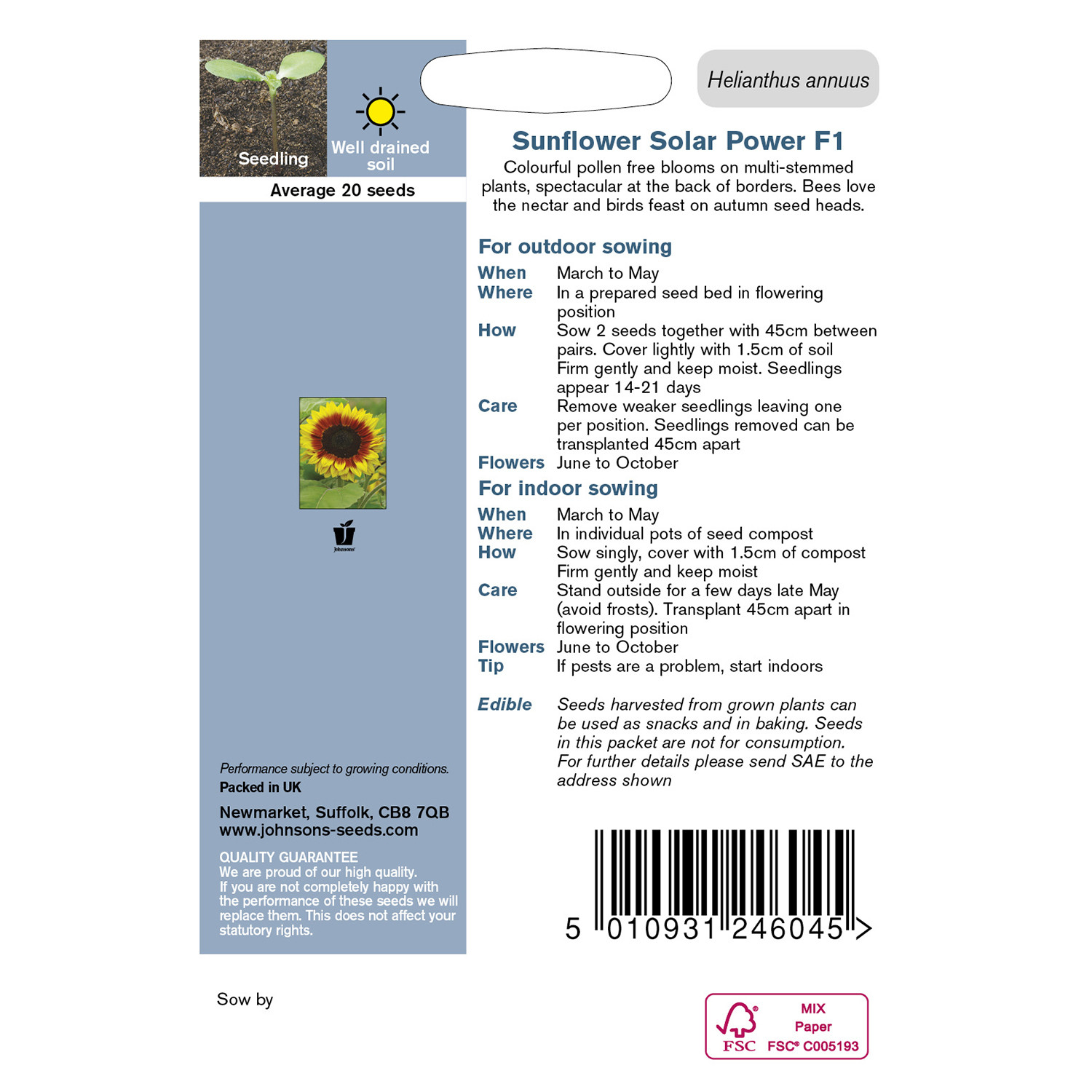 Johnsons Pack of Solar Power F1 Sunflower Seeds Image 2