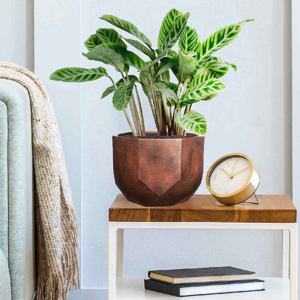wilko Geometry Style Bronze Round Indoor Plant Pot 17cm Image 6