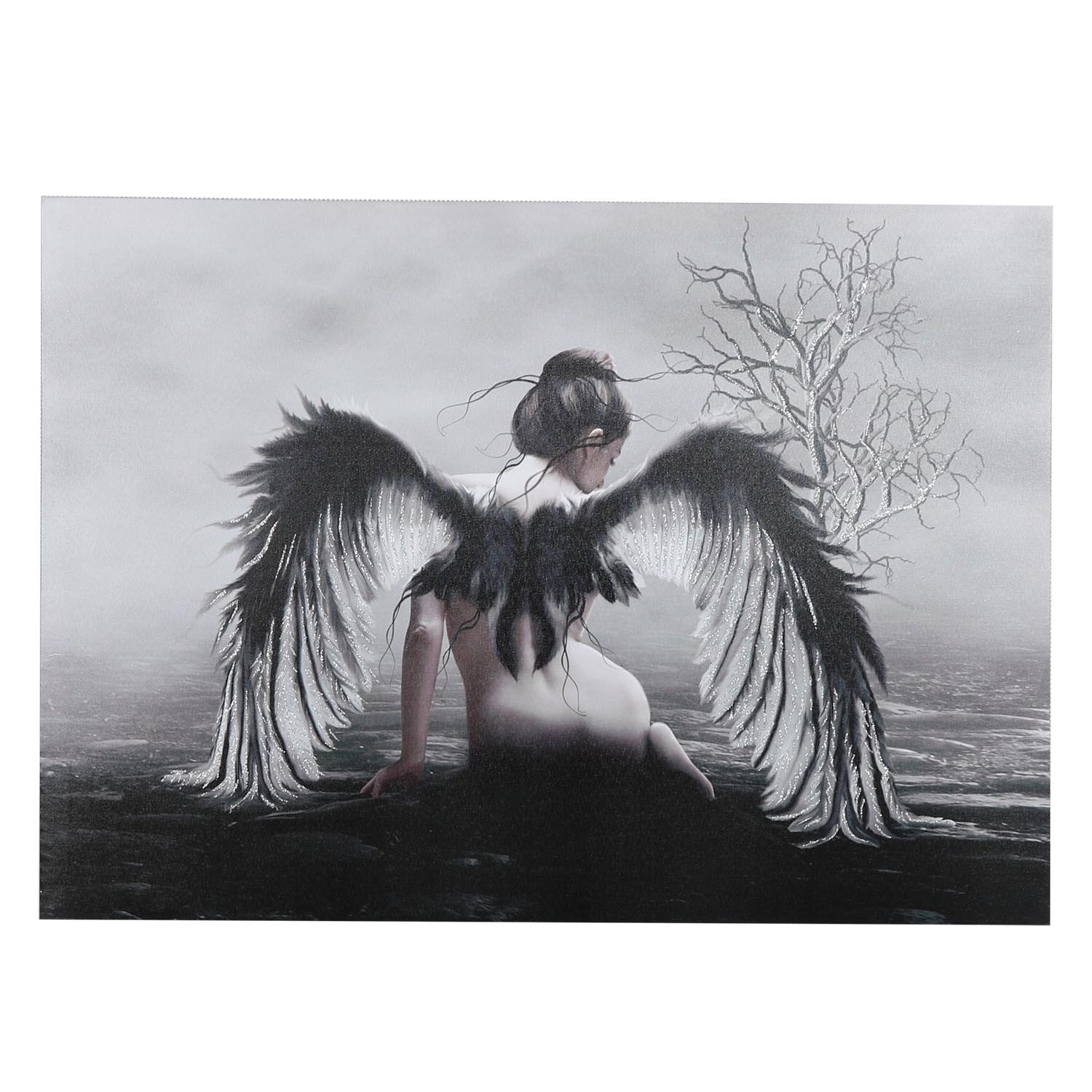 Dark Glitter Fairy Diamante Edge Canvas Wall Art 70 x 50cm Image