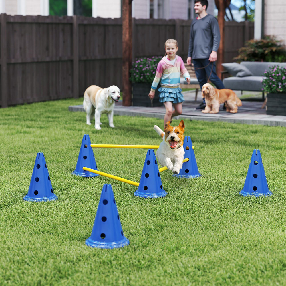 PawHut 6 Piece Blue Dog Agility Equipment Set Image 2
