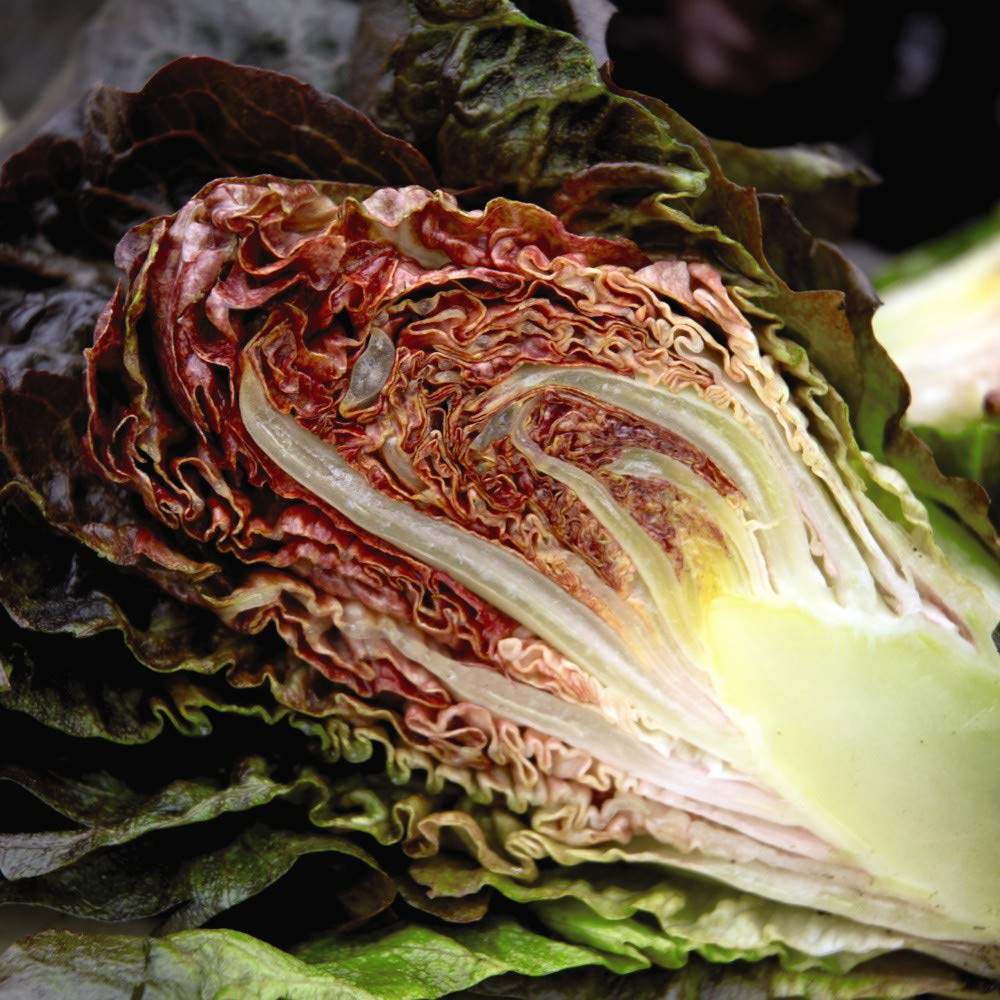 Thompson and Morgan Lettuce Romaine Cos Intred Seeds Image 3