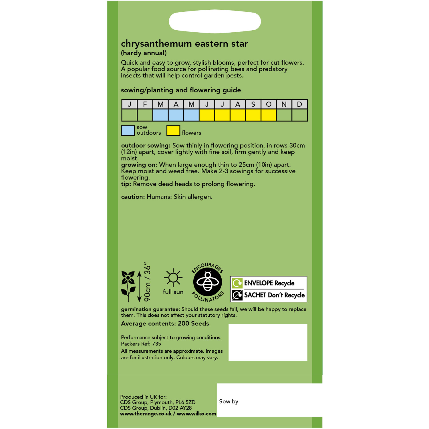 wilko Chrysanthemum Eastern Star Seeds Image 2