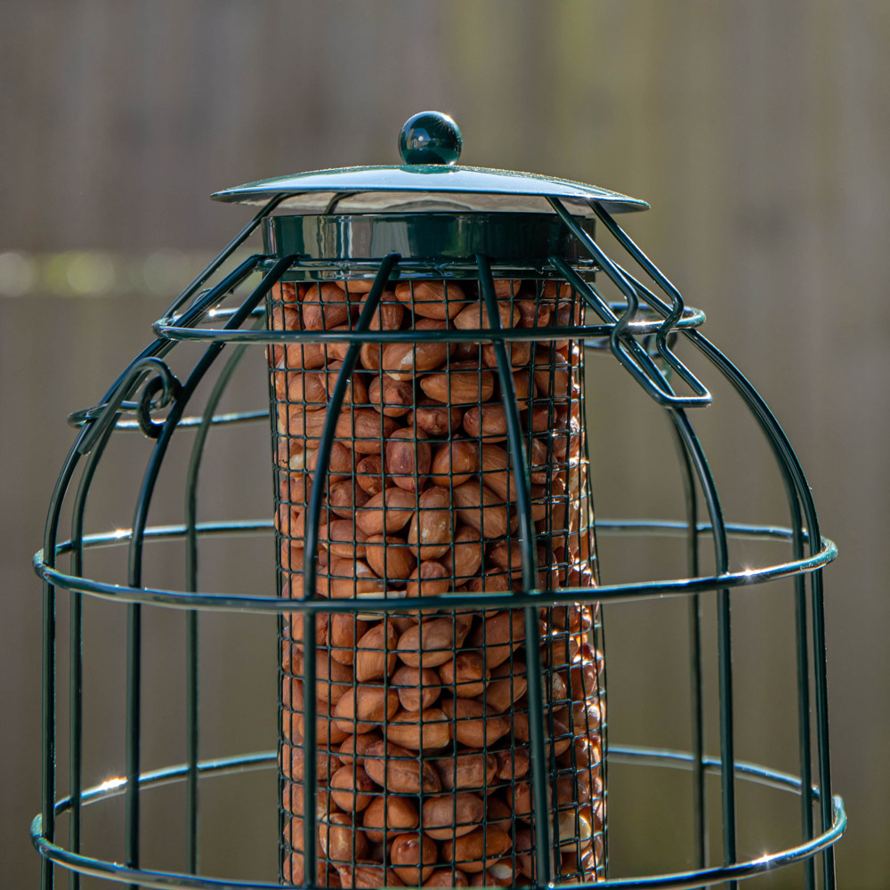Samuel Alexander Squirrel Proof Metal Hanging Bird Nut Feeder with 1kg Nut Feed Image 5