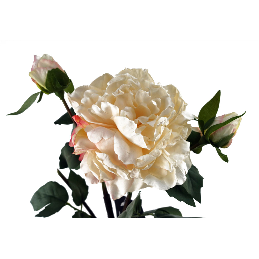 Leaf Cream Peony Single Stem Artificial Flower 2ft 6 Pack Image 5
