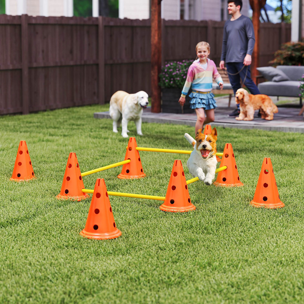 PawHut 4 Piece Height Adjustable Dog Agility Equipment Set Image 2