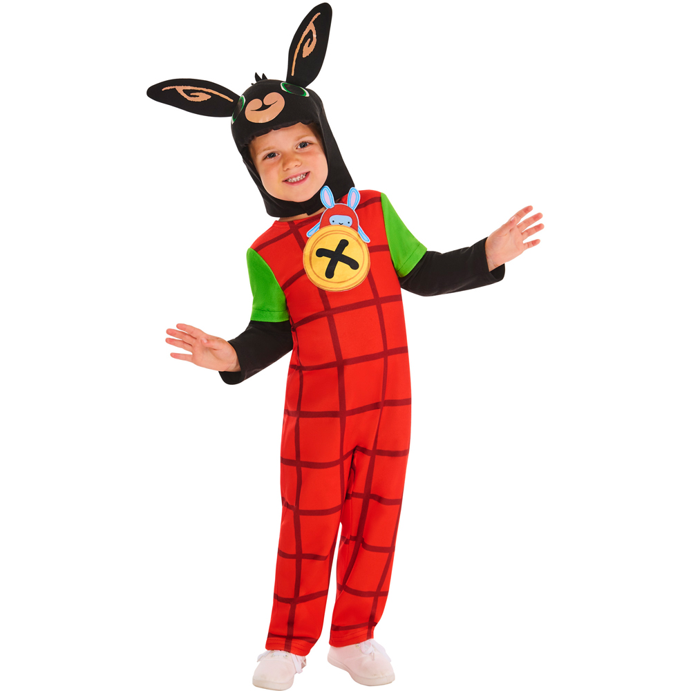Bing Costume Age 2 to 3 Years Image 4