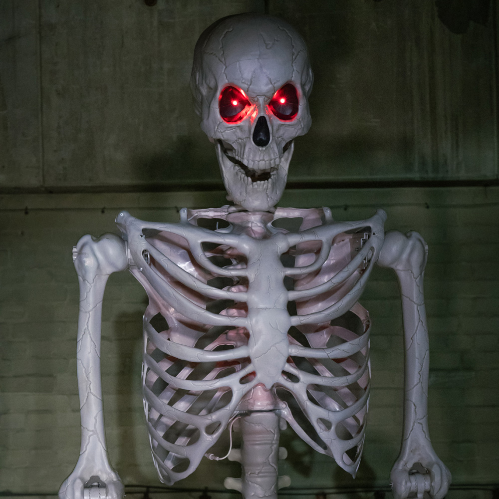 Samuel Alexander LED Posable Full Body Skeleton Halloween Decoration 10ft Image 6