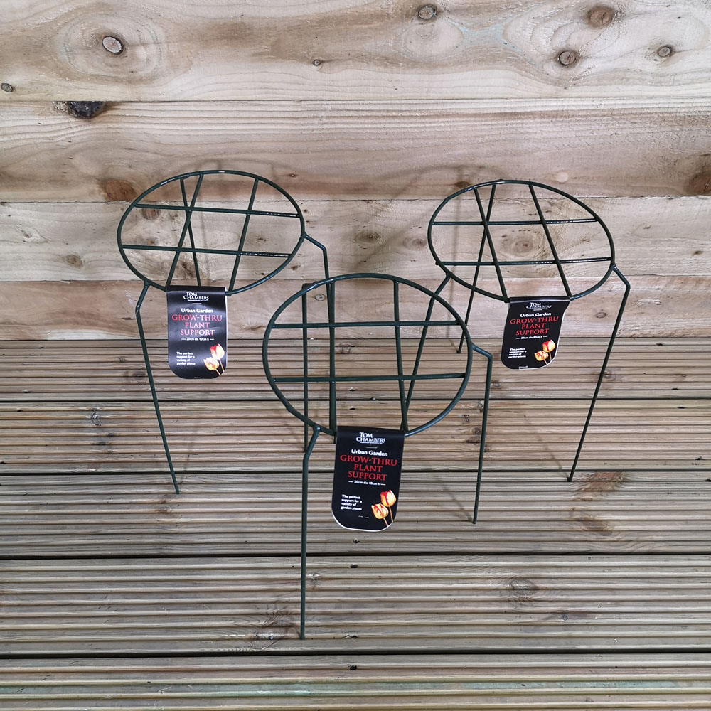 Samuel Alexander Tom Chambers Urban Dark Green Metal Herbaceous Garden Plant Support 3 Pack Image 3